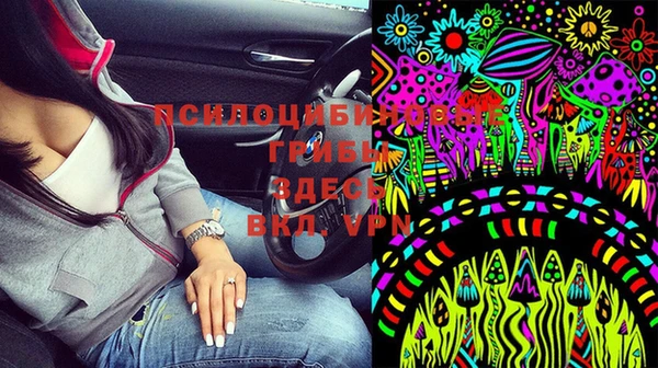 гашик Абдулино