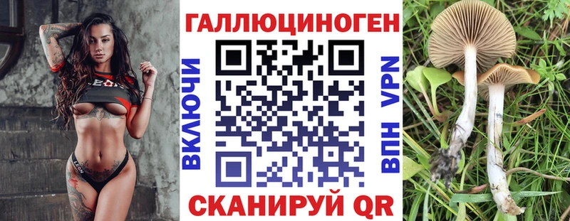 Галлюциногенные грибы Psilocybine cubensis  Александровск 