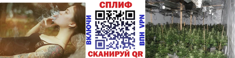 shop телеграм  Александровск  Шишки марихуана конопля  гидра ссылка 